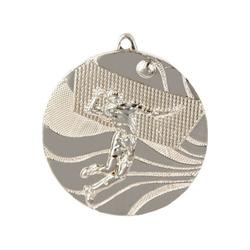 medal srebrny- siatkówka