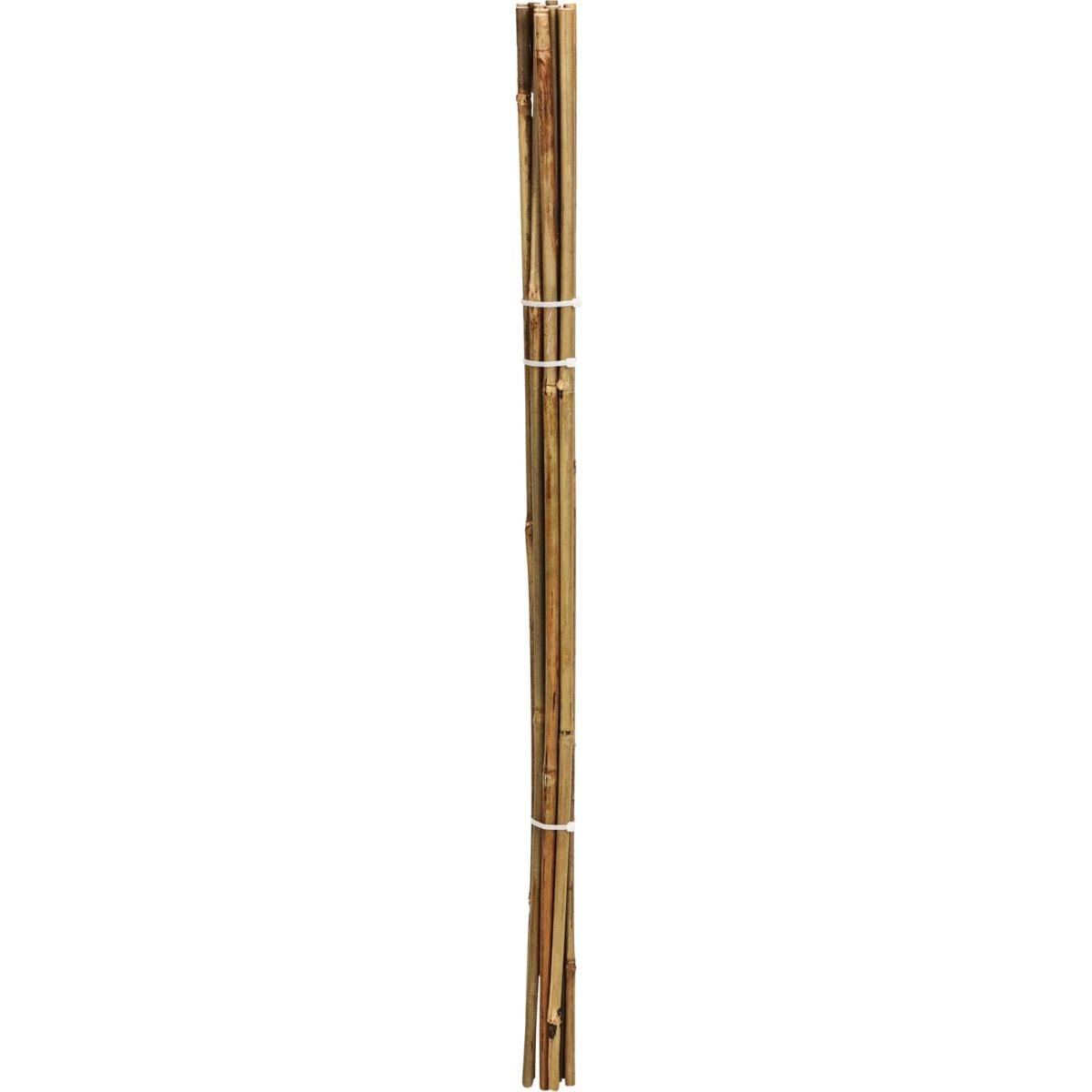 Bambusová tyč na podporu rostlin, 116 cm, 10 ks, PROGARDEN