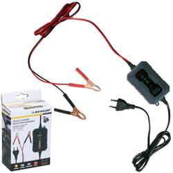 PROSTOWNIK DO AKUMULATORÓW DUNLOP 6/12V